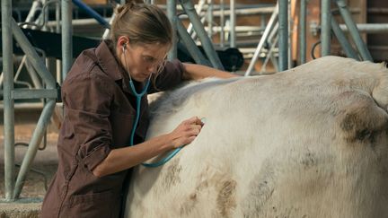 Cinéma : "Les Vétos", un portrait sensible chez les vétérinaires