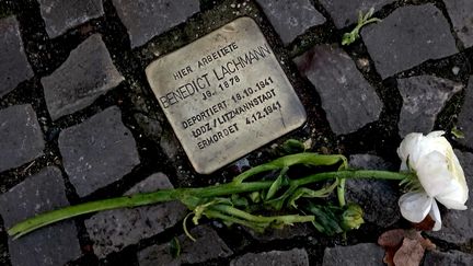 Une rose est déposée près d'une&nbsp;"Stolpersteine", un pavé&nbsp;de laiton rendant hommage aux victimes du nazisme, le 27 janvier 2019 à Berlin (Allemagne). (ODD ANDERSEN / AFP)