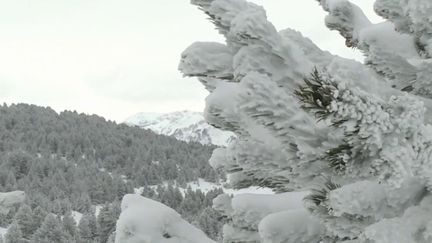 Météo : le froid s'installe partout en France (France 3)