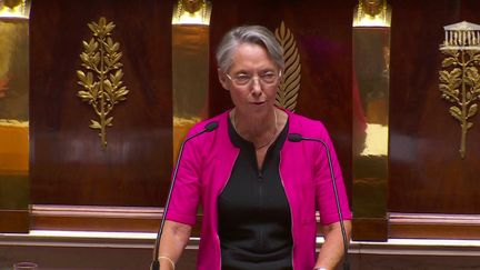 Un discours de politique générale est toujours un moment décisif pour un Premier ministre.&nbsp;La tâche était délicate pour Élisabeth Borne mercredi 6 juillet au moment de faire son discours.&nbsp;Elle est affaiblie par une majorité relative.&nbsp;L’exécutif va devoir trouver des compromis pour convaincre sur chacun de ses projets de loi. (FRANCE 3)