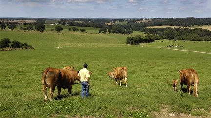 Creuse : les biens d'un agriculteur mis aux enchères