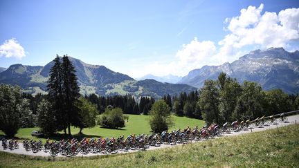 Les coureurs du Critérium du Dauphiné lors de l'étape entre Ugine (Savoie) et Megève (Haute-Savoie), le 15 août 2020. (ANNE-CHRISTINE POUJOULAT / AFP)