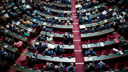 Vue panoramique des bancs du Sénat à Paris, le 14 juin 2023. (XOSE BOUZAS / HANS LUCAS / AFP)