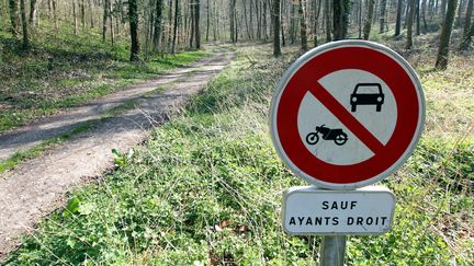 Alexandre, 17 ans, a &eacute;t&eacute; tu&eacute; dans la for&ecirc;t de Beauvoir-en-Lyons (Seine-Maritime), apr&egrave;s un guet-apens organis&eacute; par quatre de ses amis, dans la nuit du 26 au 27 mars 2012.&nbsp; (JEAN-BAPTISTE QUENTIN / MAXPPP)