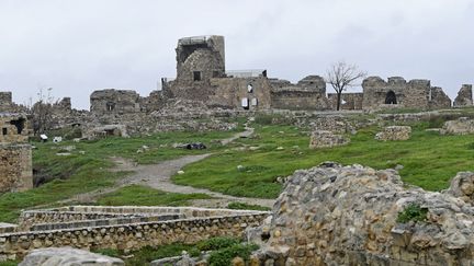 Citadelle d'Alep en Syrie, endommagée par le séisme du 6 février 2023 (- / AFP)