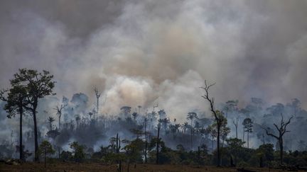 Un feu de forêt, le 27 août 2019 près d'Altamira (Brésil). (JOAO LAET / AFP)