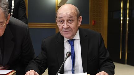 Jean-Yves Le Drian, le 16&nbsp;janvier 2019, au Sénat.&nbsp; (BERTRAND GUAY / AFP)