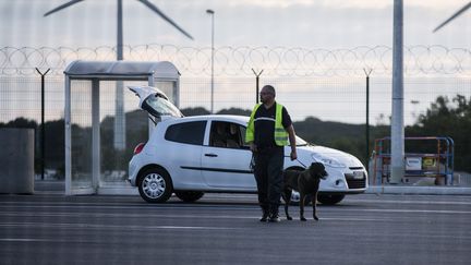 Un agent des douanes inspecte une voiture, à la recherche de migrants, le 5 août 2015, à Calais (Pas-de-Calais). (MAXPPP)