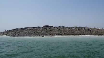 L'&icirc;le, &agrave; quelques kilom&egrave;tres au large de Gwadar (Pakistan), le 25 septembre 2013. (PAKISTANI GOVERNMENT / AFP)