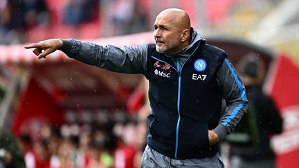 Luciano Spalletti lors du match de Serie A entre le Napoli et Monza, le 14 mai 2023. (GABRIEL BOUYS / AFP)