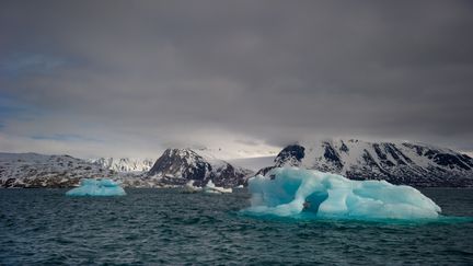 Dans le fjord Kongsfjord, en Norvège, le 5 juin 2010. (MARTIN BUREAU / AFP)