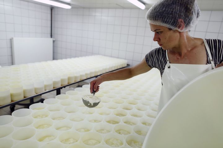 La fabrication à la louche de camemberts AOP à la fromagerie Durand, dans la ville de Camembert (Orne), le 24 août 2016. (CHARLY TRIBALLEAU / AFP)