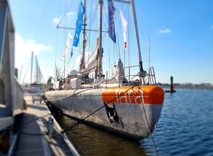 La goélette Tara dans le port de Lorient, le 2 avril 2023. (OLIVIER EMOND / RADIO FRANCE)