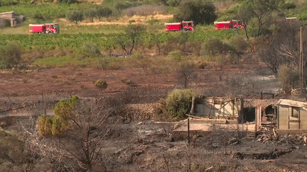 Incendies : 350 hectares brûlés à Frontignan, dans l'Hérault (France 2)