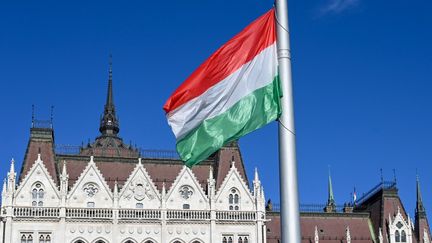 Le drapeau hongrois, en face du Parlement à Budapest, durant une cérémonie du jour de la fête nationale le 20 août 2020. (ATTILA KISBENEDEK / AFP)