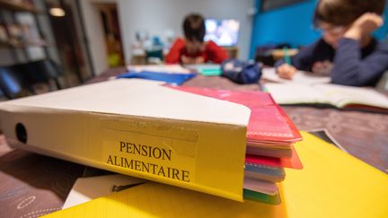 Un nouveau dispositif mis en place par la Caisse d'allocations familiales, mardi 1er mars, vise à faciliter le versement des pensions alimentaires.&nbsp;Cela concerne 35 000 divorces par an.&nbsp;La journaliste Saada&nbsp;Soubane, présente sur le plateau du 19/20, revient sur cette nouvelle mesure. (AFP)