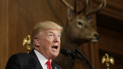 Le président Donald Trump signe un décret devant un trophée de chasse, le 26 avril 2017, à Washington (Etats-Unis).&nbsp; (KEVIN LAMARQUE / REUTERS)