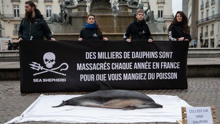 L'ONG Sea Shepherd organise de nombreuses opérations de communication pour sensibiliser l'opinion publique sur les conditions de vie des dauphins dans le Golfe de Gascogne, ici à Nantes le 18 février 2023. (ESTELLE RUIZ / HANS LUCAS)