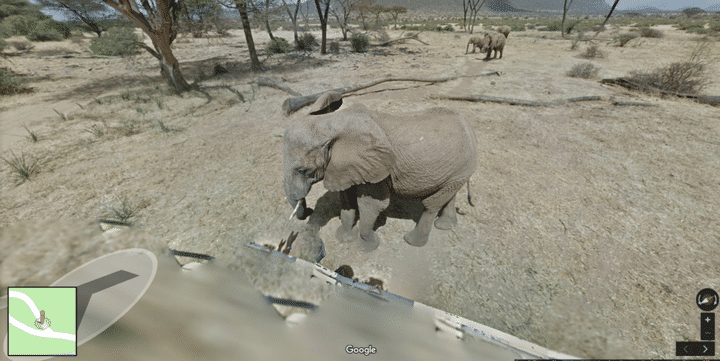 Une image de la réserve naturelle Samburu sur Google Street View (Google (capture d&#039;écran))