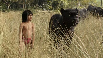 &nbsp; (Mowgli et Bagheera dans Le Livre de de Jungle version 2016. © Disney)