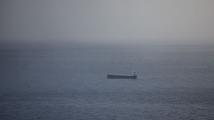 Un cargo vogue près du port commercial israélien de Haïfa, en mer Méditerranée, le 13 décembre 2023. (MATI MILSTEIN / NURPHOTO / AFP)