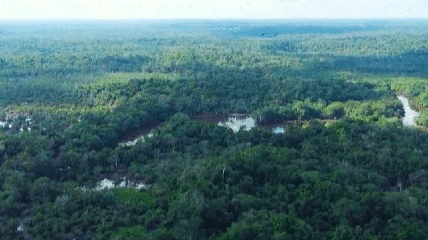 Enfants miraculés en Colombie: « Ils ont lutté pour survivre. Une