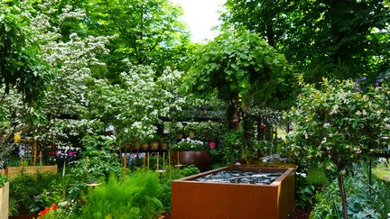 Le jardin comestible, création du paysagiste Pierre-Alexandre Risser (Jardins, Jardin aux Tuileries, 2018).&nbsp; (ISABELLE MORAND / RADIO FRANCE)