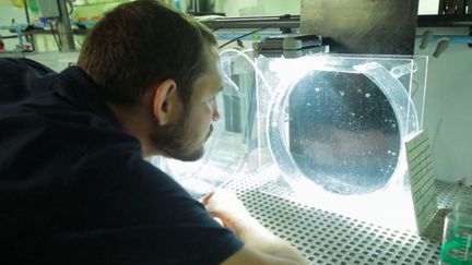 Vacances : les secrets de l'aquarium de La Rochelle