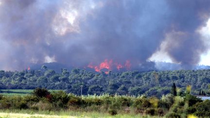 L'incendie a Générac dans le Gard a coûté la vie à un pilote de Tracker.&nbsp; (FARINE VAL?RIE / MAXPPP)