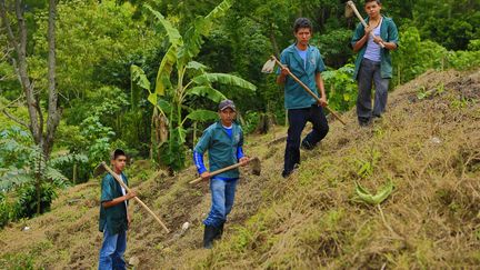 Des &eacute;tudiants pr&eacute;parent le sol pour planter du ma&iuml;s &agrave; l'universit&eacute; agricole La Bastilla &agrave; Jinotega (Nicaragua). Deux jours par semaine dont d&eacute;di&eacute;s &nbsp;&agrave; l'apprentissage pratique.&nbsp; (REZA / WEBISTAN)