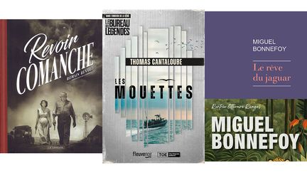 ROMAIN RENARD, LE LOMBARD (THOMAS CANTALOUBE, FLEUVE NOIR / MIGUEL BONNEFOY, RIVAGES)