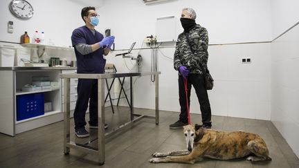 Face à la crise du coronavirus, les vétérinaires se mobilisent également, avec l'envoi de matériel à destination des hôpitaux. (JAIME REINA / AFP)