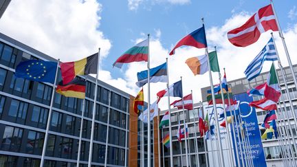 Drapeaux des pays européens devant le Parlement européen. (KEVIN REITZ / HANS LUCAS / AFP)