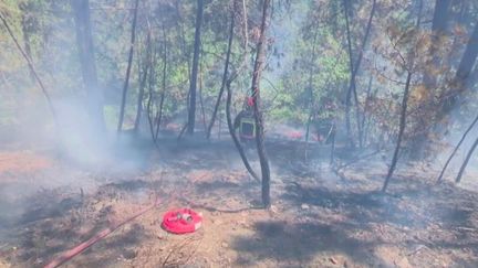 À&nbsp;Bessèges, dans le Gard, la vigilance reste maximale face à la menace permanente d’incendie, vendredi 8 juillet au soir.&nbsp;La préfecture du Gard a décidé d’interdire au public l’accès à tous les massifs forestiers.&nbsp;La journaliste Véronique&nbsp;Gaglione&nbsp;est&nbsp;en direct de Bessèges.&nbsp; (FRANCE 2)