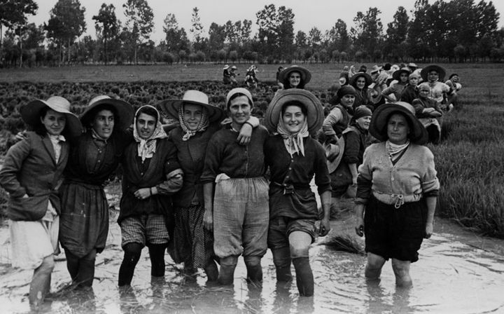 Les Mondines, ouvrières saisonnières des rizières italiennes. 
