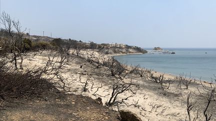 Le village de Kiotari après le passage de l'incendie sur l'île de Rhodes, en Grèce, le 23 juillet 2023. (DAMIANIDIS ELEFTHERIOS / ANADOLU AGENCY / AFP)