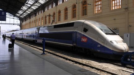 Un TGV en gare de Marseille Saint-Charles (Bouches-du-Rh&ocirc;ne), le 15 novembre 2011. (BOB DEWEL / ONLY FRANCE)