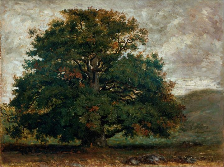 Théodore Rousseau, "Arbre dans la forêt de Fontainebleau", 1840-1849, huile sur papier marouflé sur toile, Victoria and Albert Museum, Londres, Royaume-Uni. (PHOTO © IMAGE VICTORIA AND ALBERT MUSEUM, LONDON)