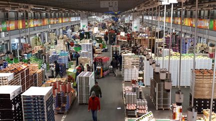 Le pavillon fruits et légumes du marché de Rungis, en mars 2019 (SOPHIE AUVIGNE / FRANCE-INFO)
