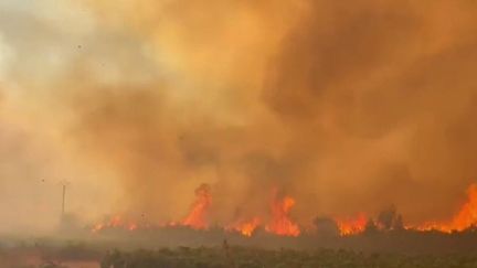 Incendies : 48 personnes interpellées durant l'été pour des départs de feux volontaires