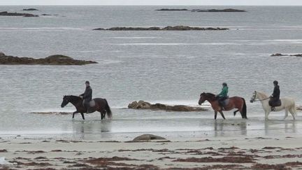 Irlande : à la découverte des terres du Connemara (France 2)