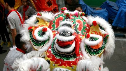 Le Nouvel An chinois célébré à Kolkata en Inde, le 8 février 2016, avec les danses du dragon. (DEBAJYOTI CHAKRABORTY / NURPHOTO)