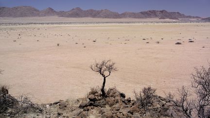 La Namibie est le pays le plus sec de l'Afrique sub-saharienne. (TILL LEESER / BILDERBERG / AFP)