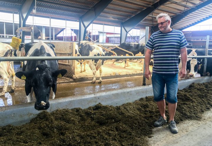 Janna Hansson dans son exploitation laitière à Ljusdal (Suède), le 26 juillet 2018. (ELISE LAMBERT / FRANCEINFO)