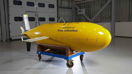 Le sous-marin "Boaty McBoatface", le 12 janvier 2017 à Southampton (Royaume-Uni). (DPA)