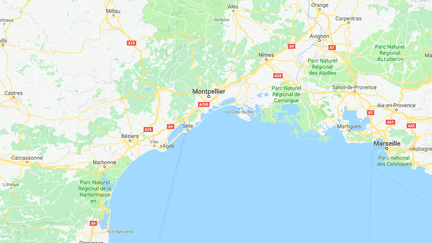 Quatre policiers ont été blessés,&nbsp;le 13 février 2018, lors du "Karnaval des gueux" qui s'est tenu malgré une interdiction préfectorale à Montpellier (Hérault).&nbsp; (GOOGLE MAPS)