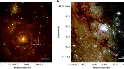 Les images du téléscope Chandra de la NASA indiquent&nbsp;la région comportant l'étoile ULS-1 dans la galaxie M51.&nbsp; (NATURE / R.DI STEFANO / AL. NAT ASTRON)