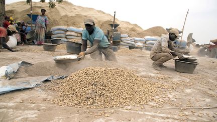 Près de Kaolack, au Sénégal, des négociants trient les cacahuètes. La saison 2019-2020 a été&nbsp;marquée par une hausse des prix en raison de la demande chinoise. (SEYLLOU / AFP)