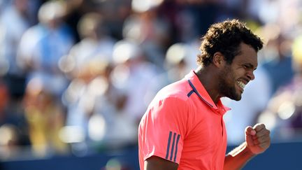 Toute la rage de Jo-Wilfried Tsonga  (JEWEL SAMAD / AFP)