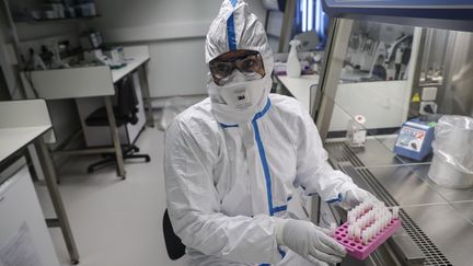 Des tests de&nbsp;diagnostic&nbsp;du coranavirus réalisés&nbsp;à l'Institut Pasteur, le 28 janvier 2020.&nbsp; (THOMAS SAMSON / AFP)